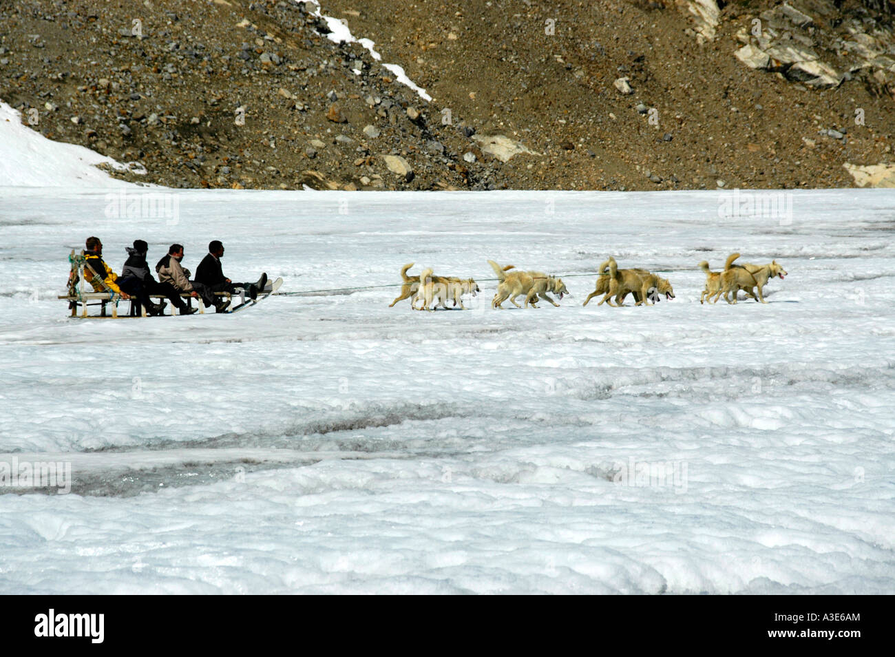 Quatre personnes dans un traîneau tiré par des chiens de traîneau huskys sur Apusiak Eastgreenland Glacier Banque D'Images