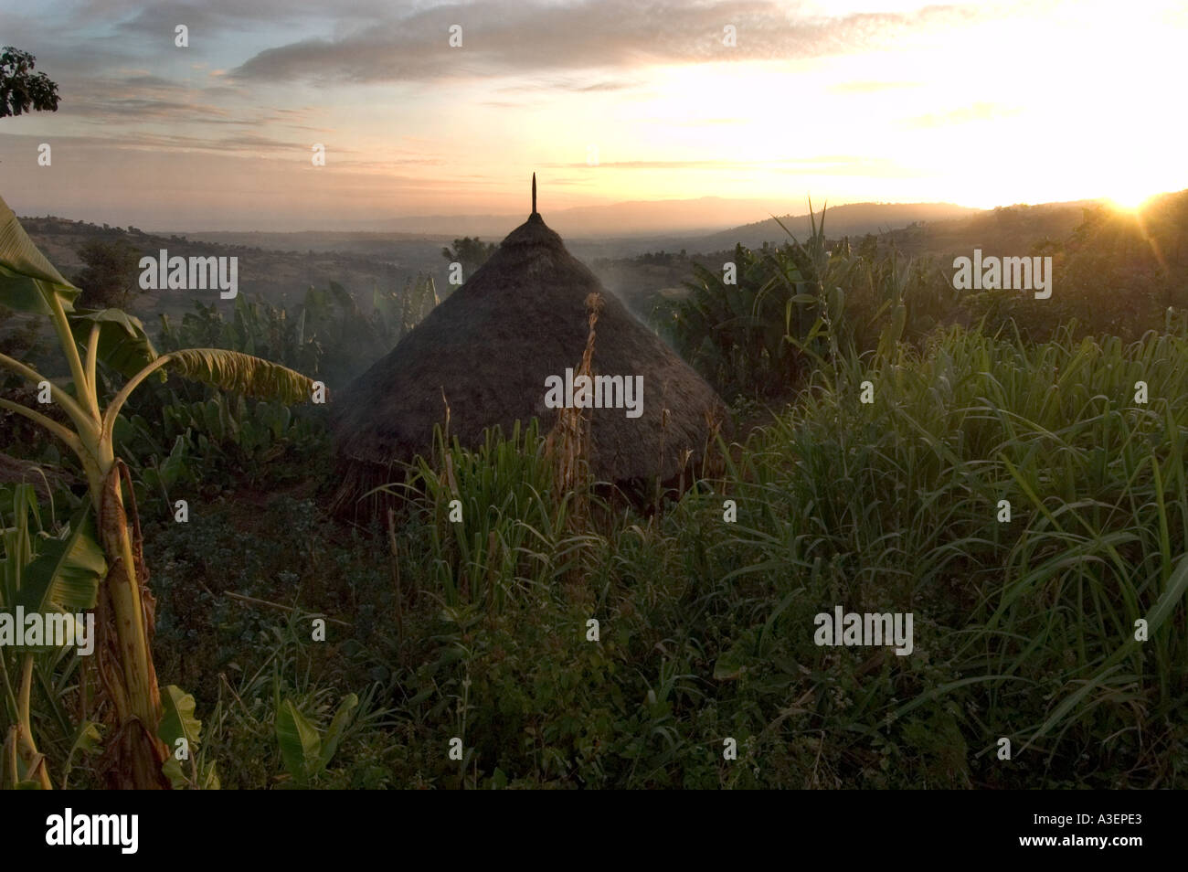 Aube sur cabane de torchis entre Jima Weka et 81204 AU SUD-OUEST DE L'ETHIOPIE Banque D'Images Aube sur cabane de torchis entre Jima Weka et 81204 AU SUD-OUEST DE L'ETHIOPIE Banque D'Images