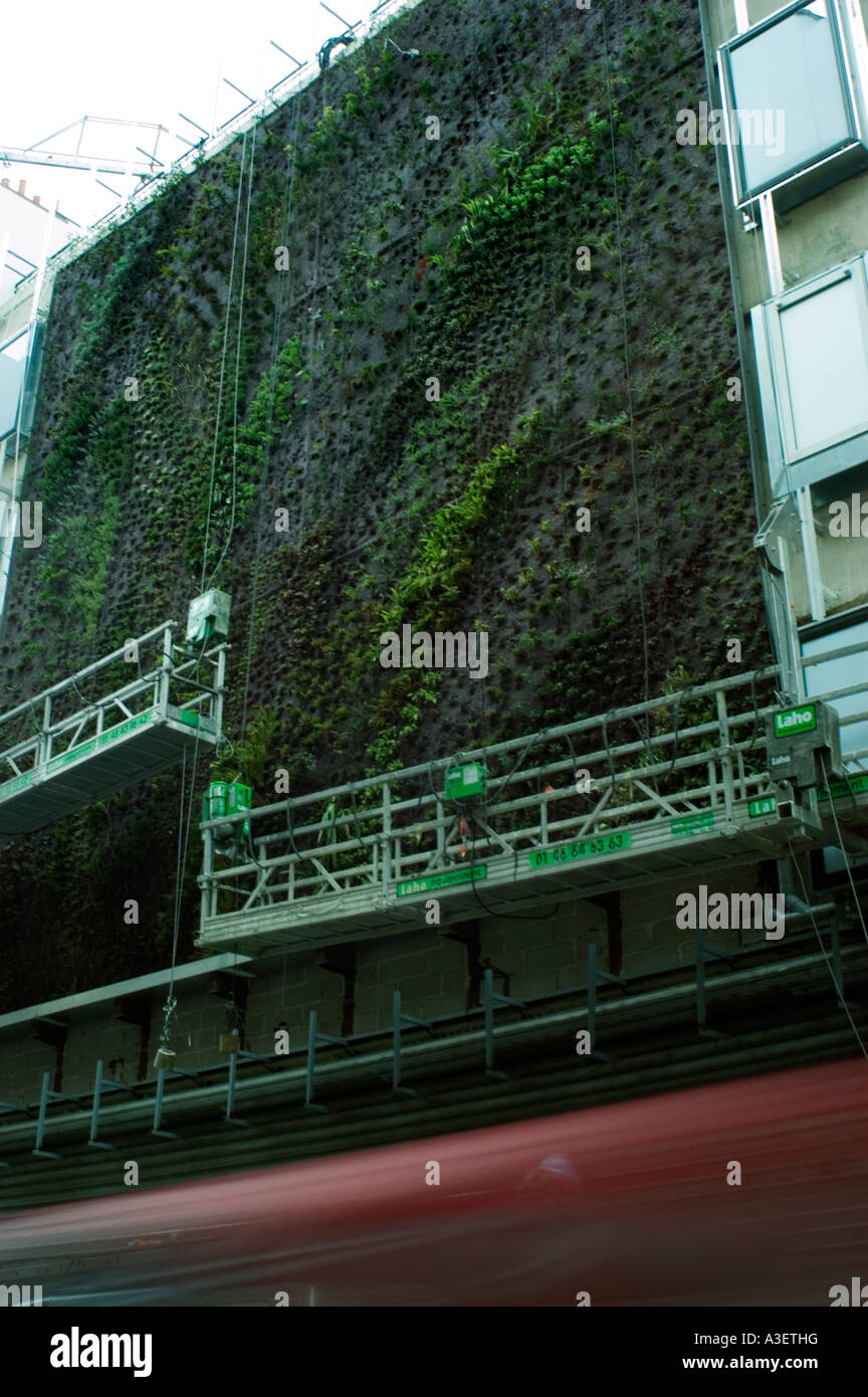 Paris France, façade écologique du bâtiment, mur végétal, jardin vertical sur la façade du bâtiment BHV Mens Department Store, environnement paris vert, Banque D'Images