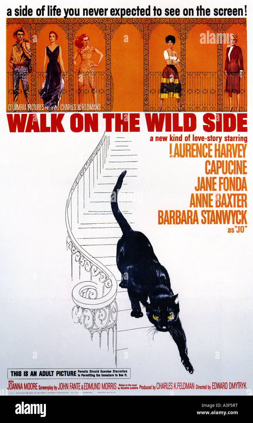 Promenade sur le côté sauvage de l'affiche 1962 Columbia film avec Jane Fonda Banque D'Images