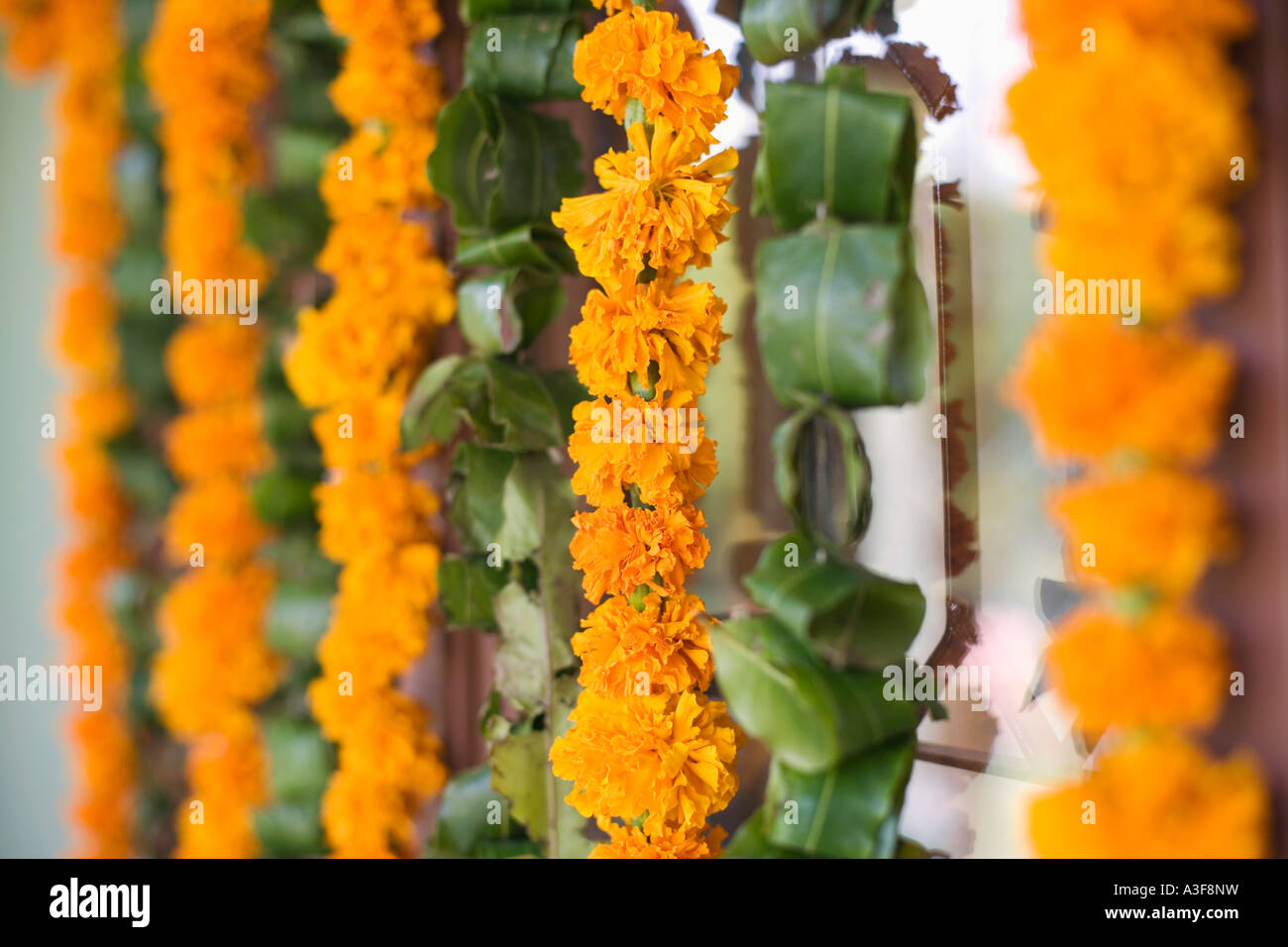 Close-up de guirlandes de fleurs suspendu à une porte Banque D'Images
