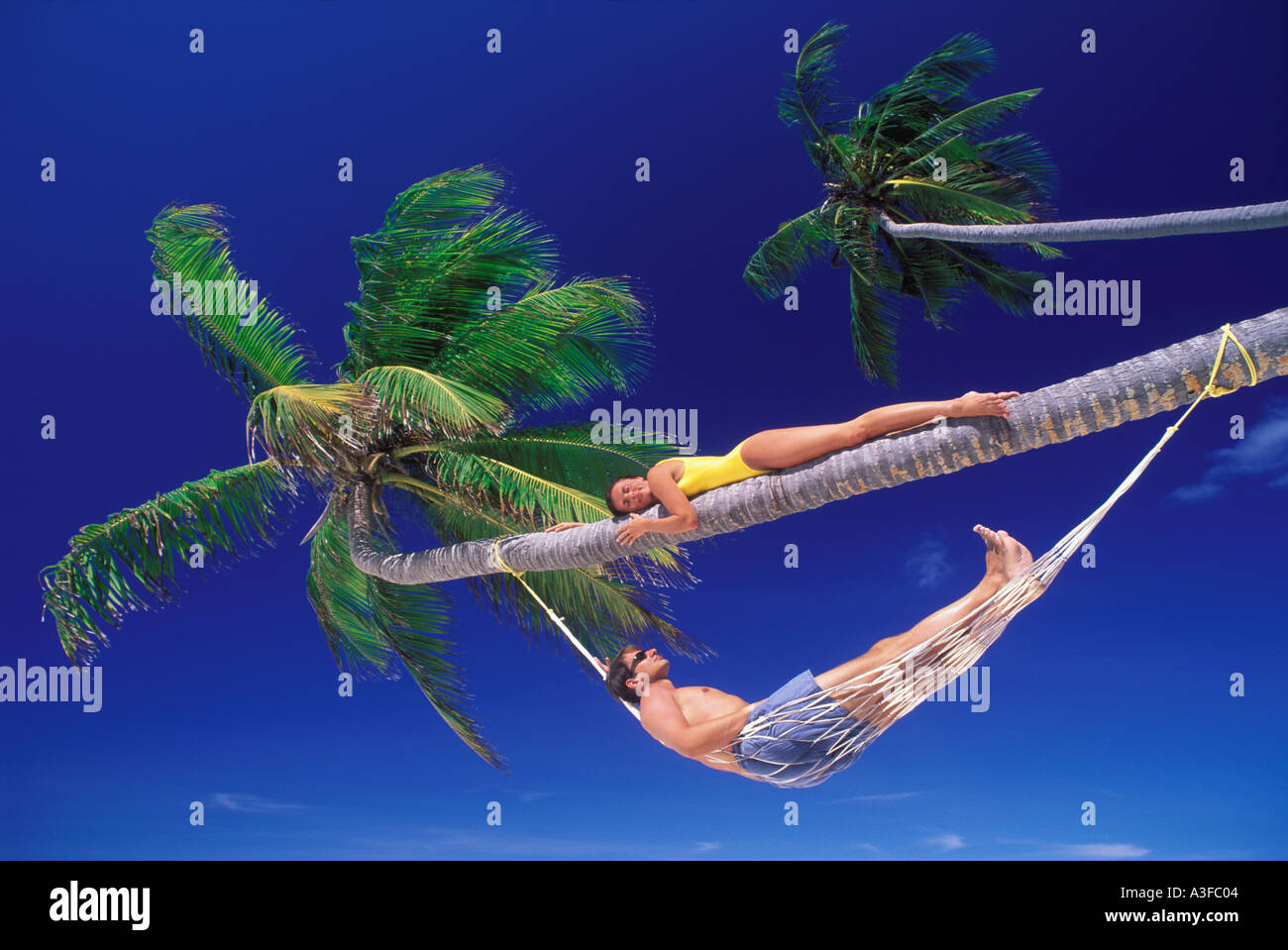 Couple palmier tropical island Banque D'Images