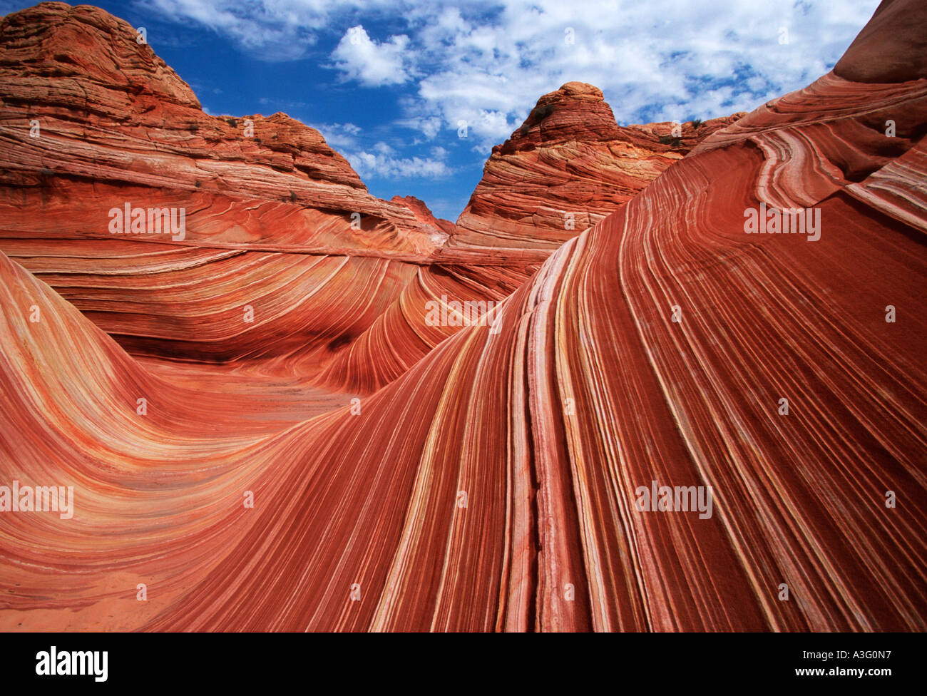 Le nord de Coyote Buttes la vague de dunes pétrifiées USA Arizona Paria Canyon Vermillion Cliffs Wilderness Area Banque D'Images