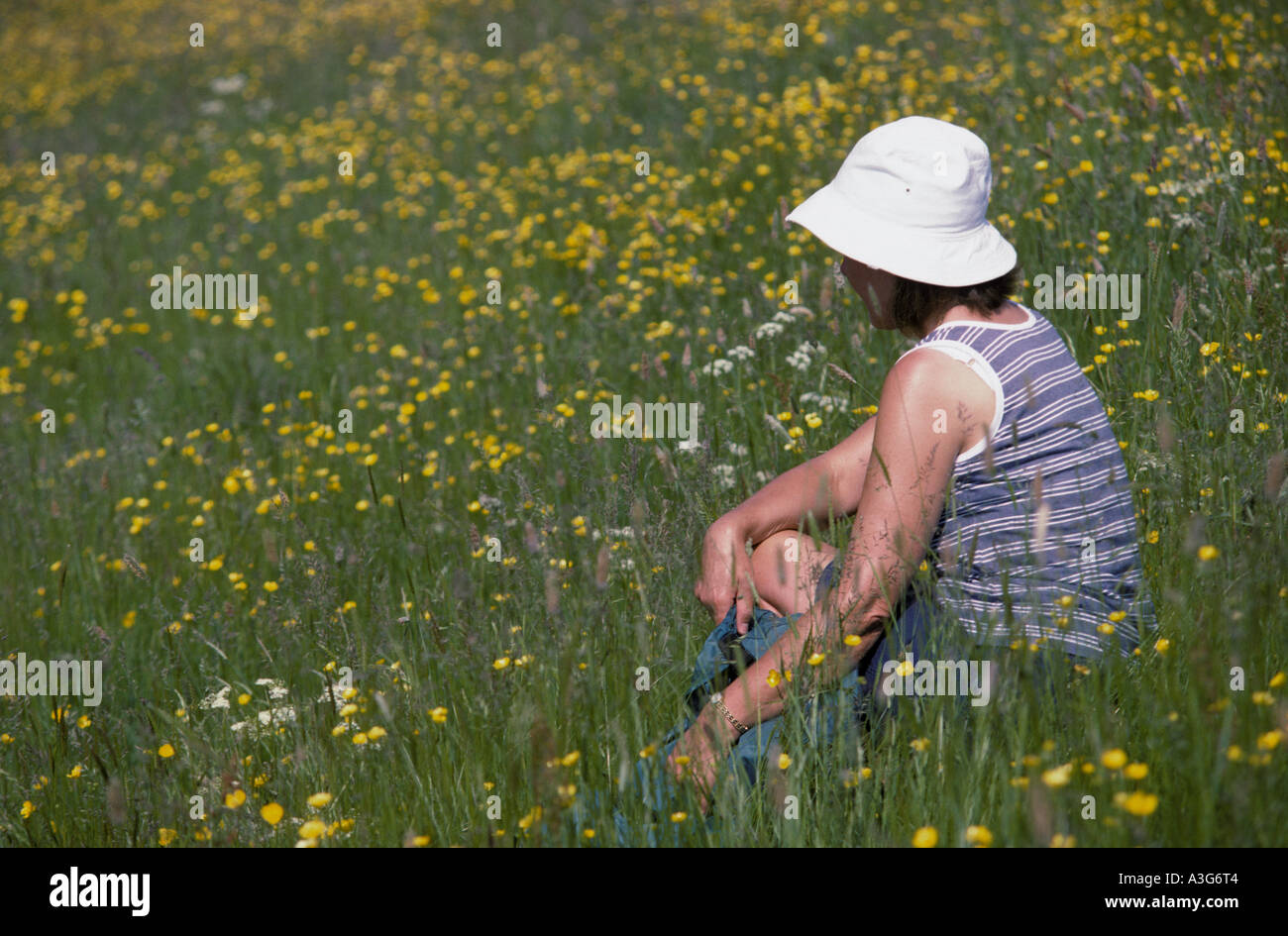 Les femmes d'âge moyen se situe parmi les fleurs sauvages'mixte' sur une chaude journée Banque D'Images