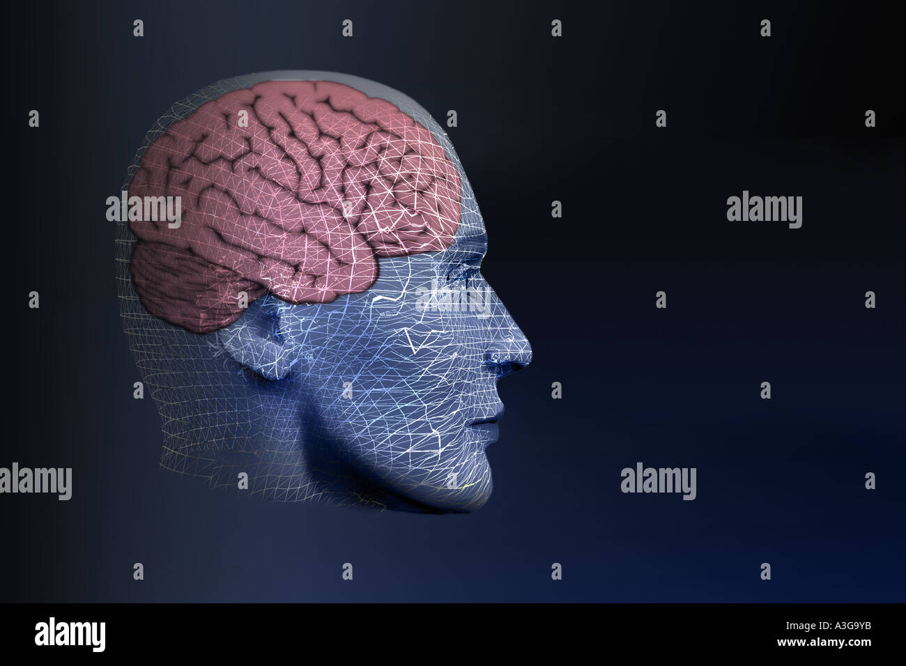 TECHMAN Banque D'Images