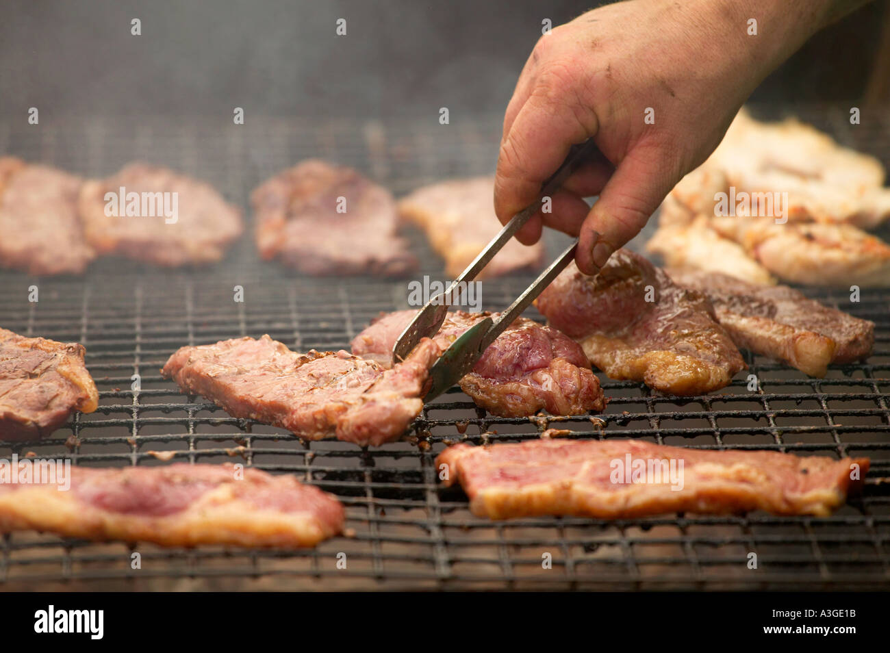 Les steaks de boeuf et de porc poulet au barbecue Banque D'Images