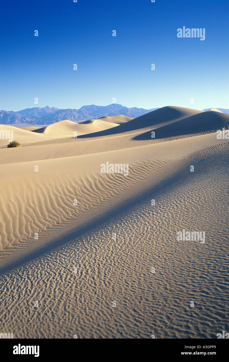 Télévision Mesquite Sand Dunes Death Valley National Park Californie Banque D'Images