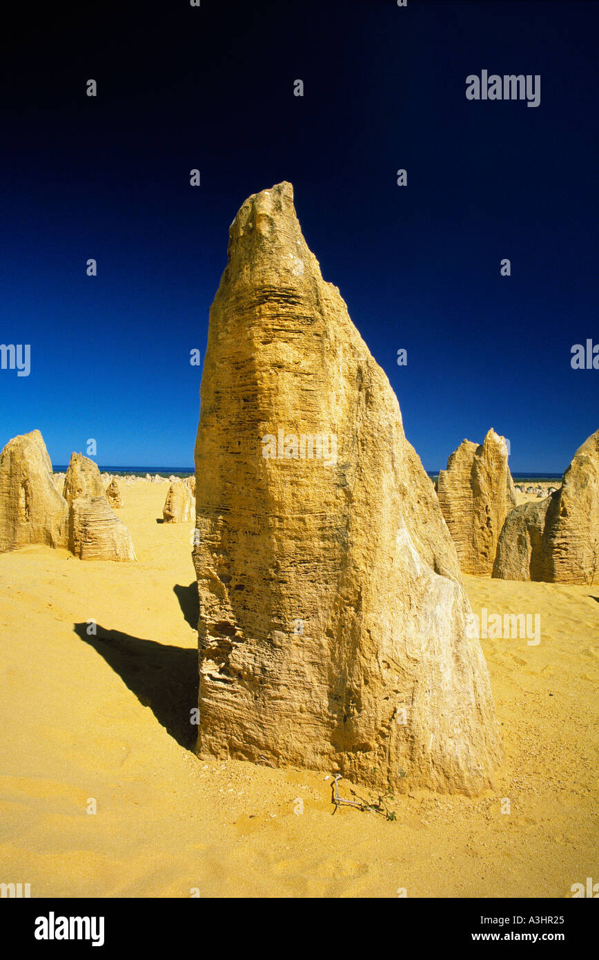 Les colonnes en pierre désert pinnacle d'Australie l'Australie Banque D'Images