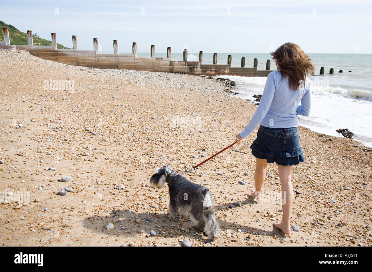 Femme marche un chien de compagnie Banque D'Images