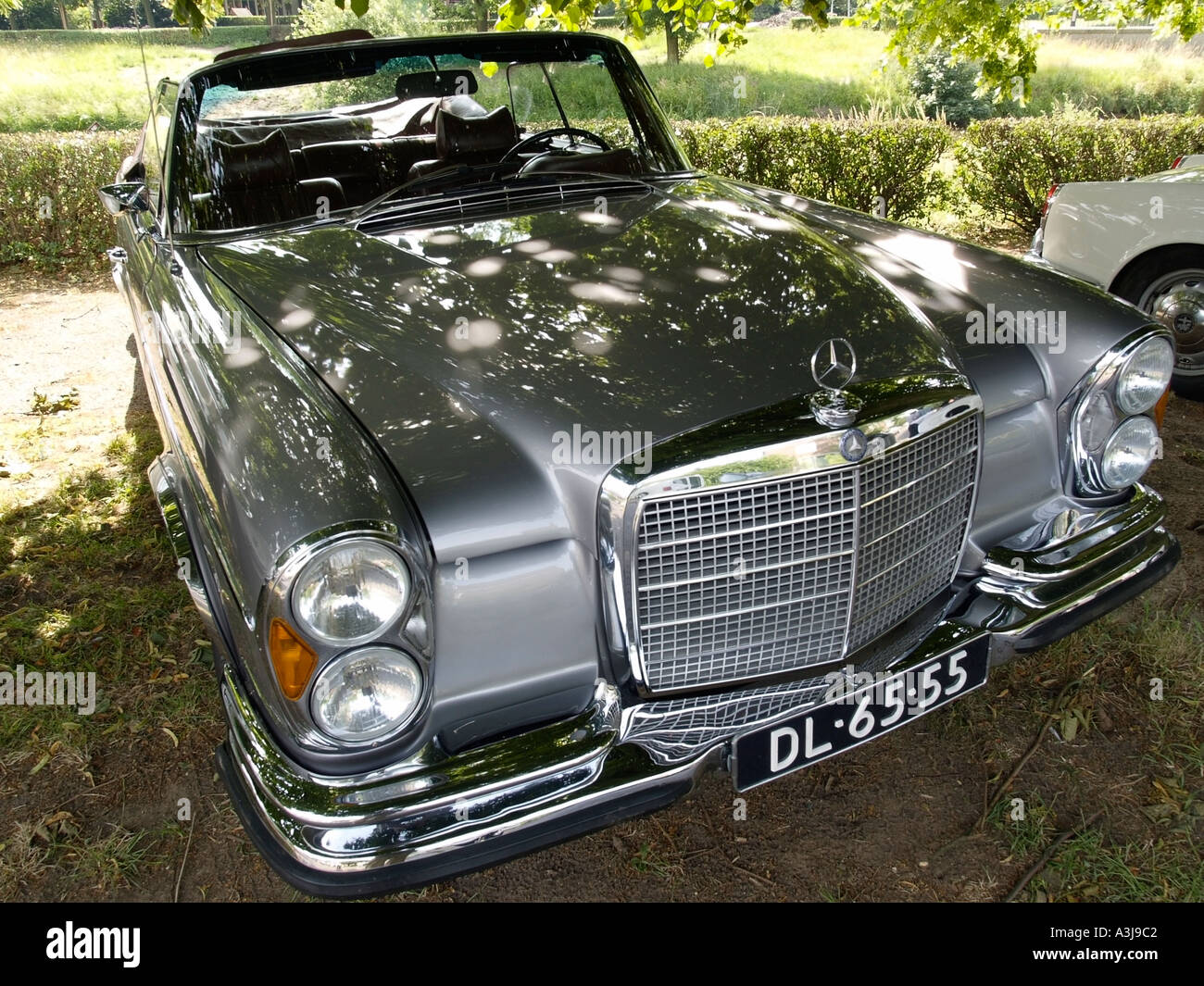 Beau cabriolet Mercedes Benz classic stationné à l'ombre Banque D'Images