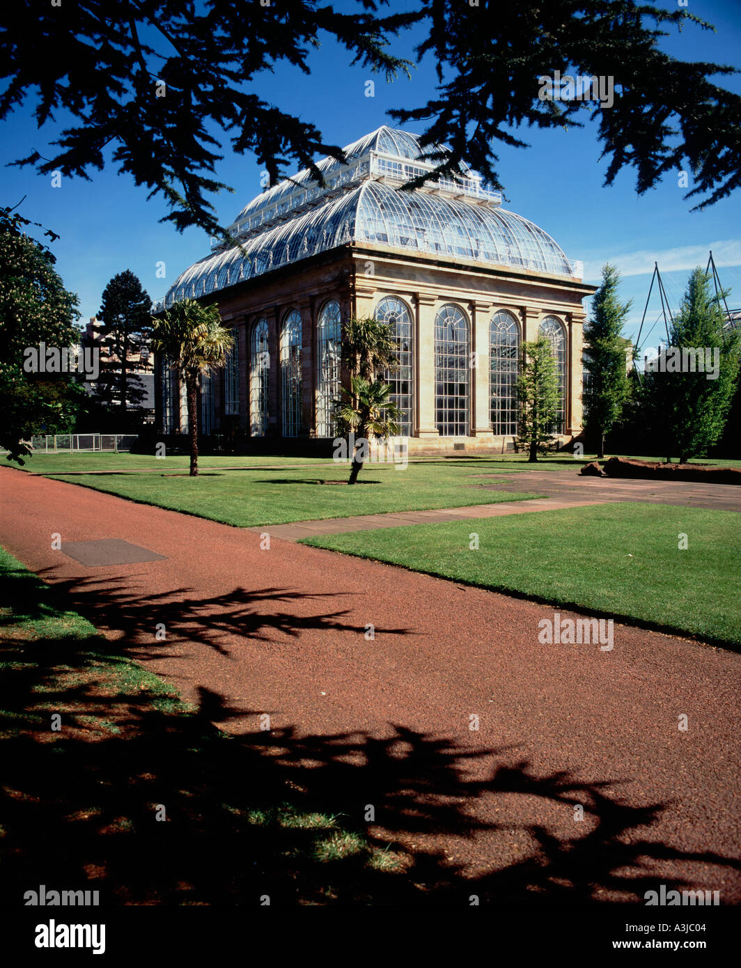 Palm House Tropical Royal Botanic Garden Edinburgh Scotland Banque D'Images