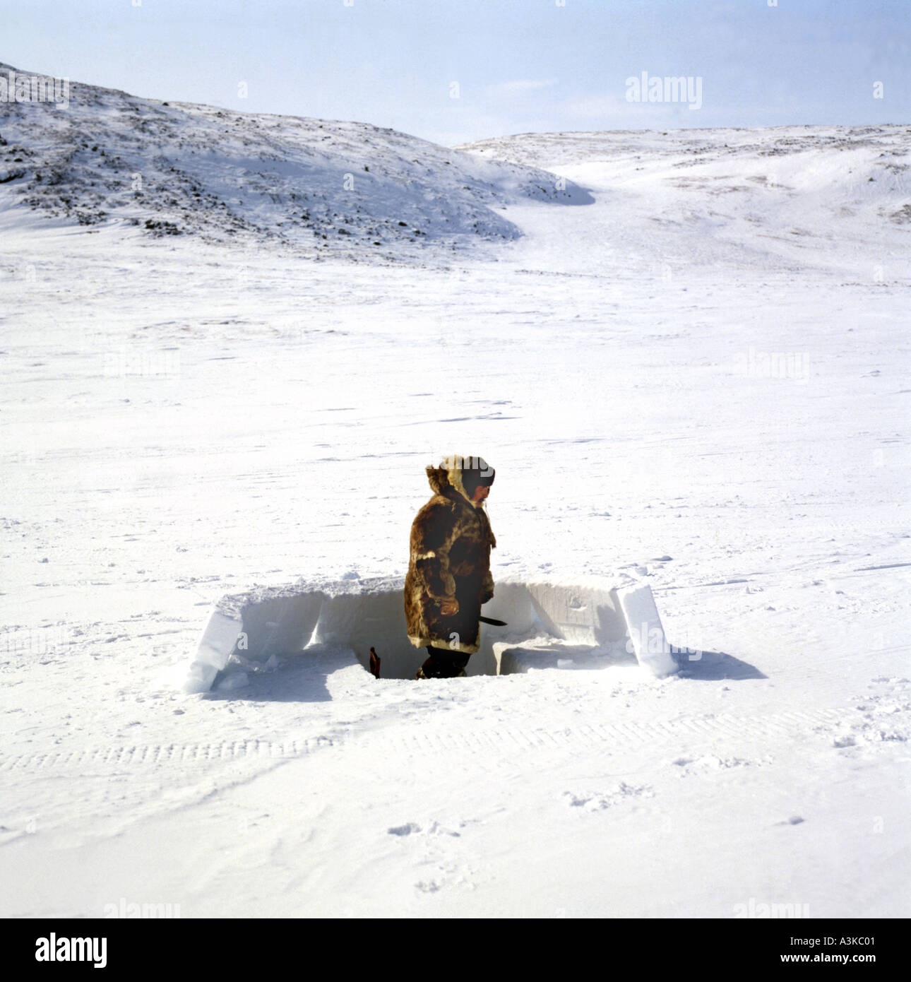 Construire un igloo le Nunavut Banque D'Images