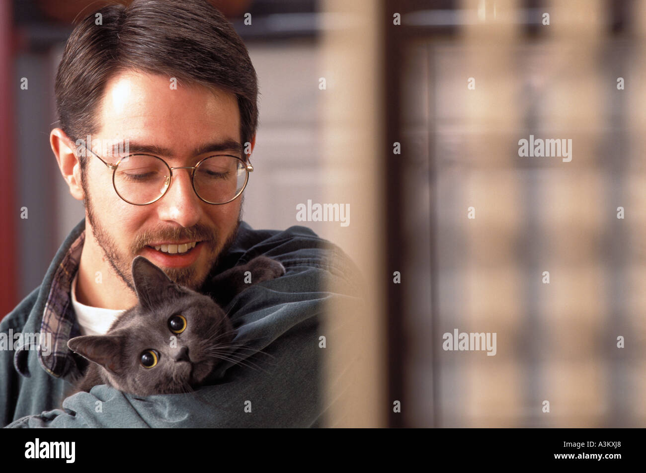 Portrait man holding British Blue Cat Banque D'Images