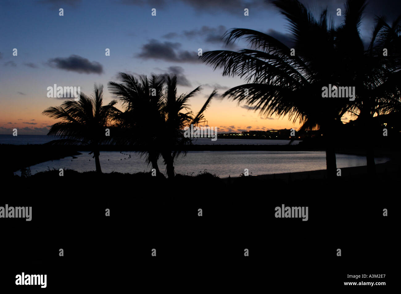 Palmiers tropicaux silhouetté contre un puissant mage noir de la mer et du ciel Banque D'Images