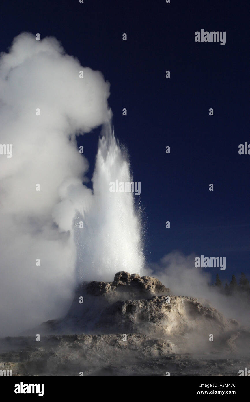Château de l'eau du Geyser Yellowstone Geyser Basin supérieur éruption Pk Nat USA Banque D'Images
