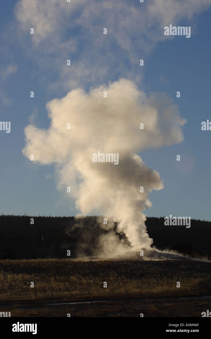 La hausse des flux d'Old Faithful Geyser Yellowstone Nat Pk USA Banque D'Images