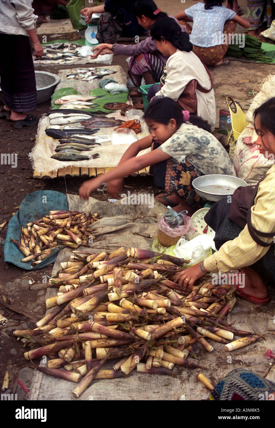 Les femmes et les jeunes filles vendant des pousses de bambou et du poisson frais dans le marché de plein air à Vang Vieng, Laos. DN2 Banque D'Images