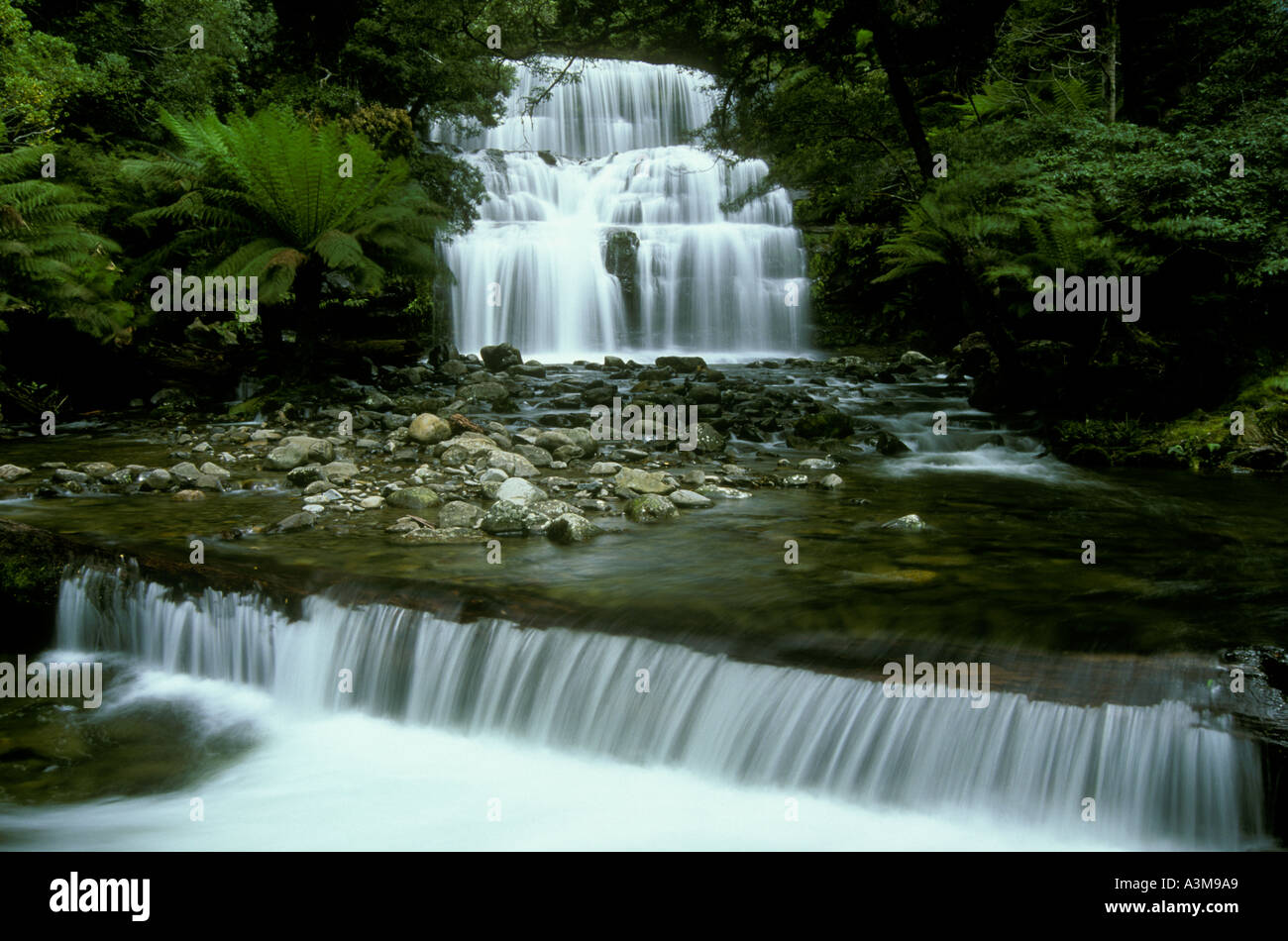 La Tasmanie Liffey Falls Niveaux Ouest Australie Banque D'Images