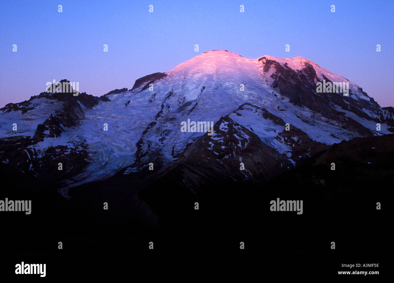 Matin alpenglow sur Mt Rainier et le Glacier Emmons Mount Rainier National Park Washington Banque D'Images
