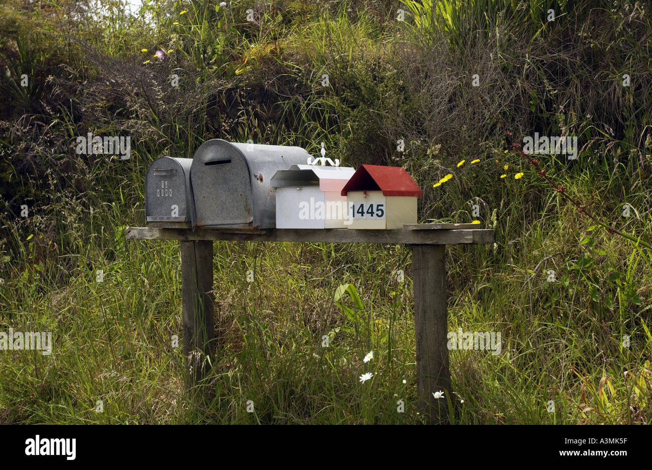 Rangée de boîtes aux lettres de l'Île du Nord Nouvelle-zélande Banque D'Images