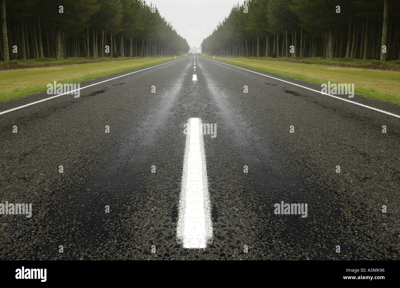 Double lignes blanches peintes sur la route au nord de la Nouvelle-Zélande Île Banque D'Images