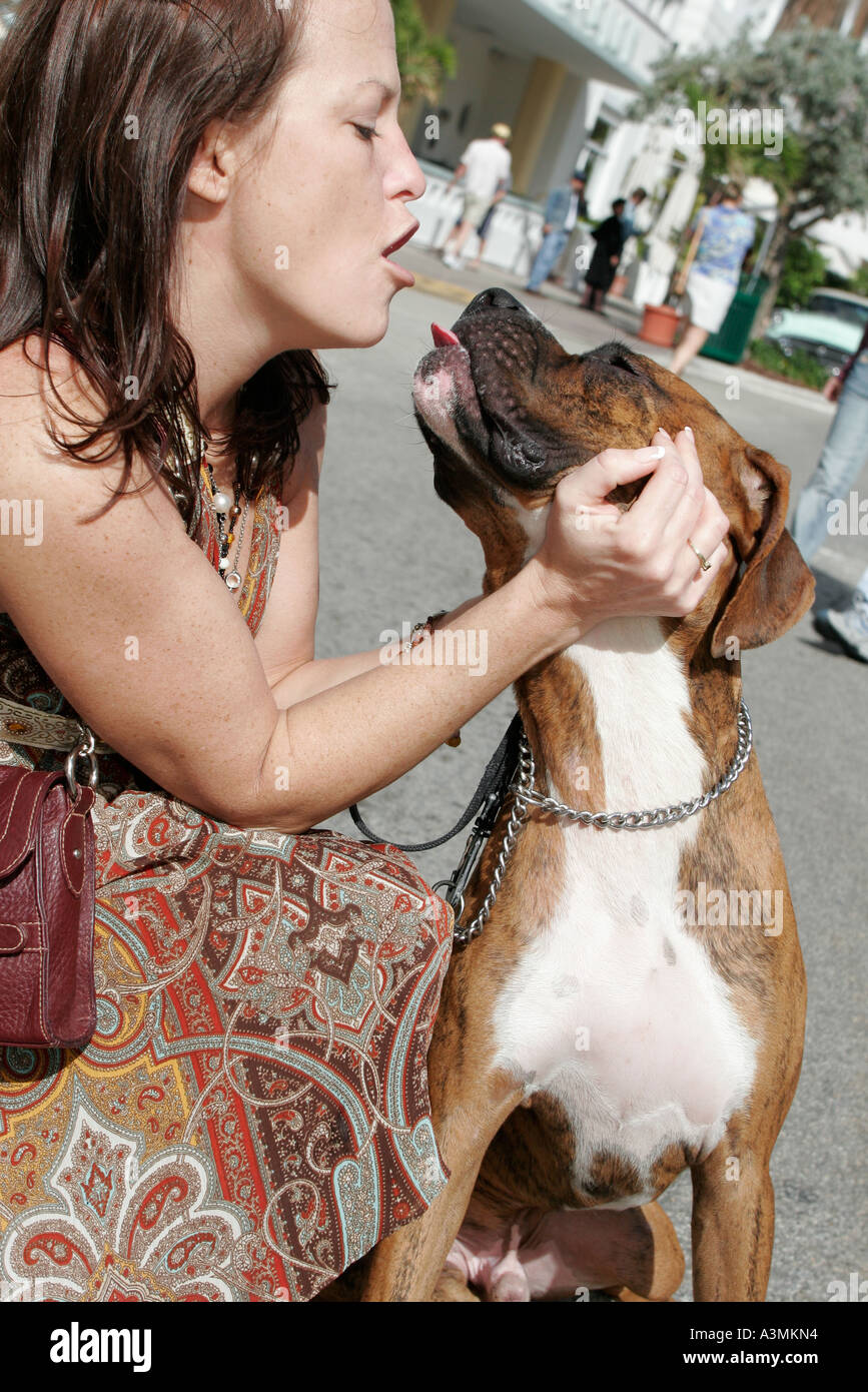 Miami Beach Florida,South Beach,Ocean Drive,week-end art déco,événement,festival,festivals,célébration de l'architecture,foire,femme embrassant,chiens,boxer,animal de compagnie p Banque D'Images