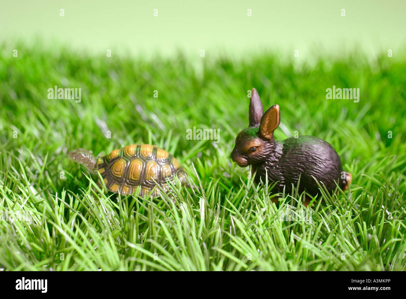 Lievre Et Tortue Banque D Image Et Photos Alamy