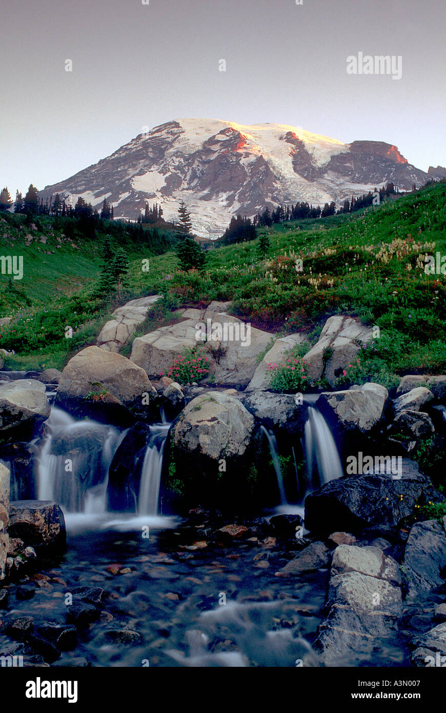 Mt Rainier au-dessus du ruisseau Edith et Paradise Meadows au lever du soleil le Mont Rainier National Park Washington Banque D'Images