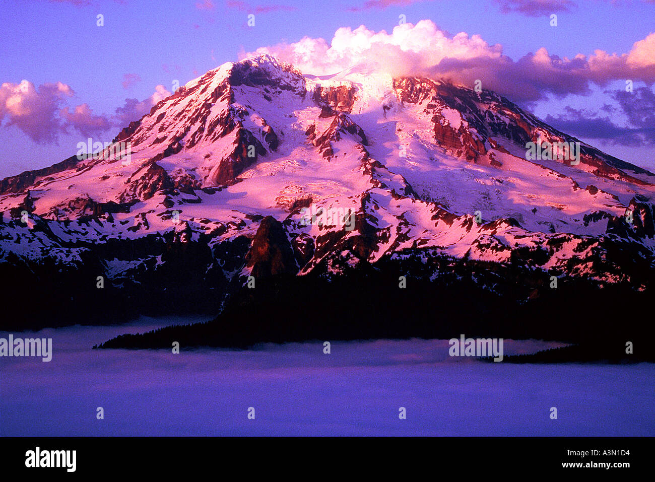 Lumière du soir sur le Mont Rainier Banque D'Images