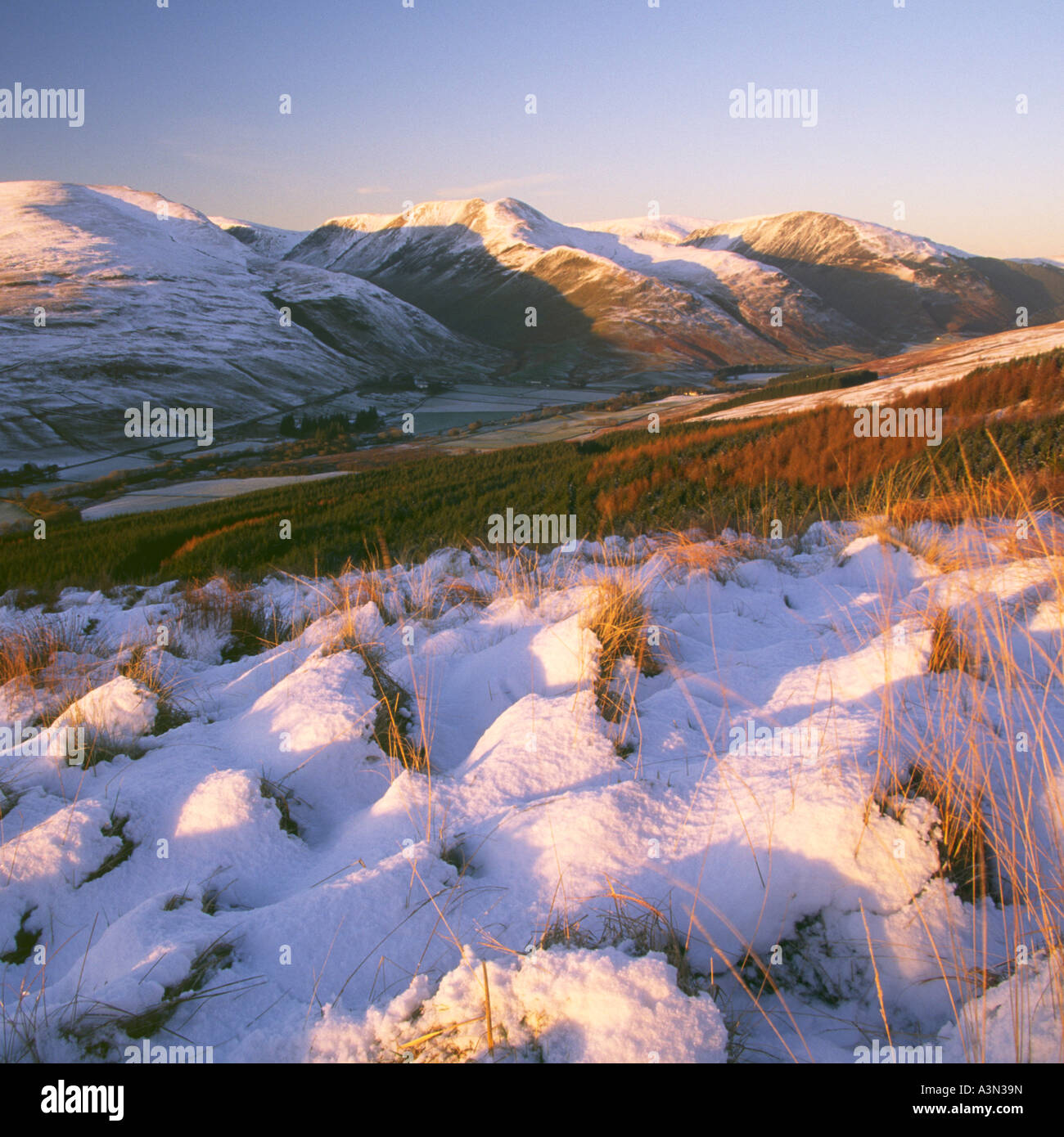 Paysage d'hiver carrés à l'échelle Moffat Dale pour une chape de neige vêtu dans la Selle Moffat Hills près de sunset Scotland UK Banque D'Images