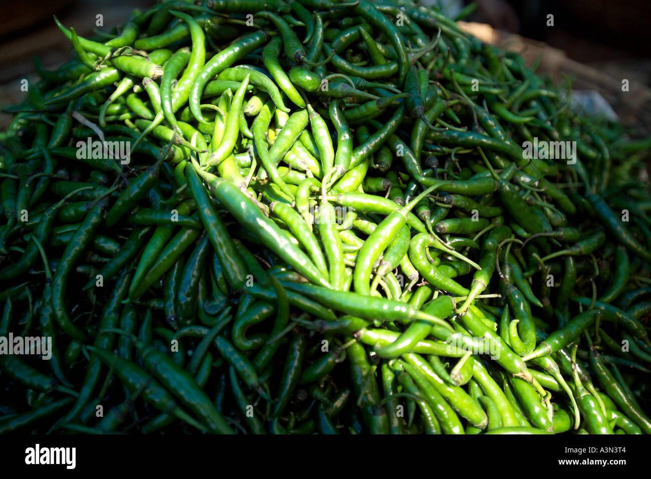 Piments verts frais, fruits et légumes du marché Devaraja, Mysore, Inde Banque D'Images