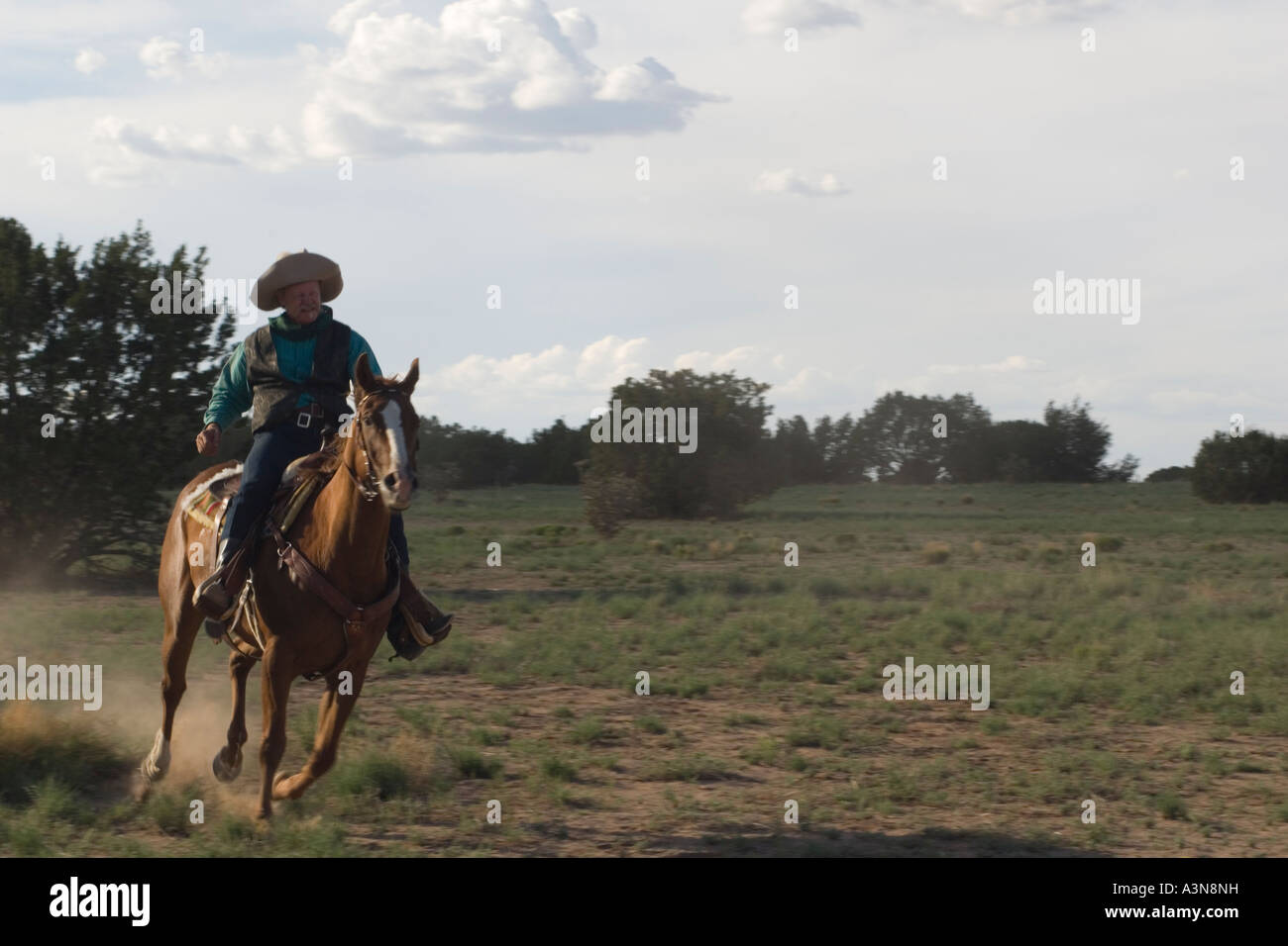 Cowboy et running horse Banque D'Images