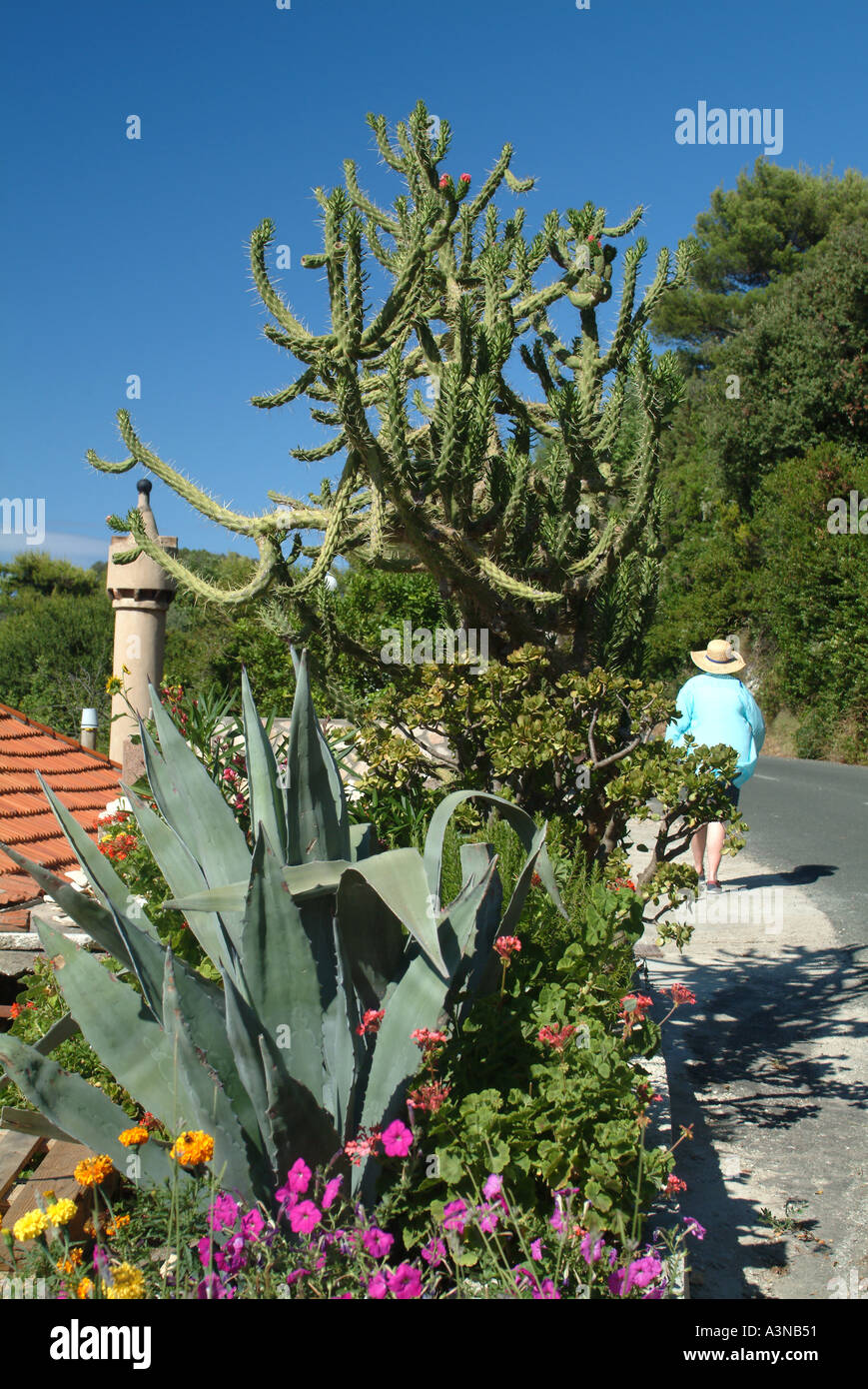 Zaklopatica sur l'île de Lastovo Croatie Banque D'Images