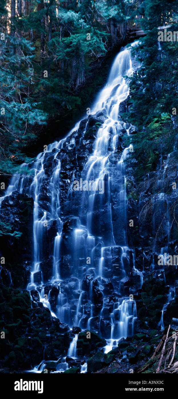 Ramona Falls dans la forêt nationale de Willamette en Oregon Banque D'Images