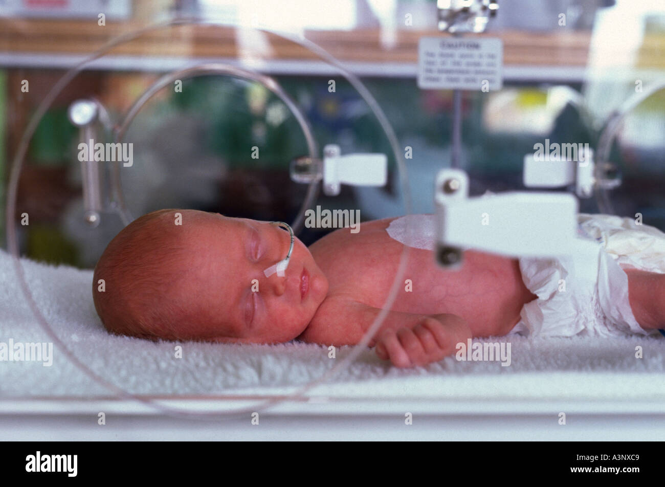 Tiny Premature Baby In Incubator Banque D Image Et Photos Alamy