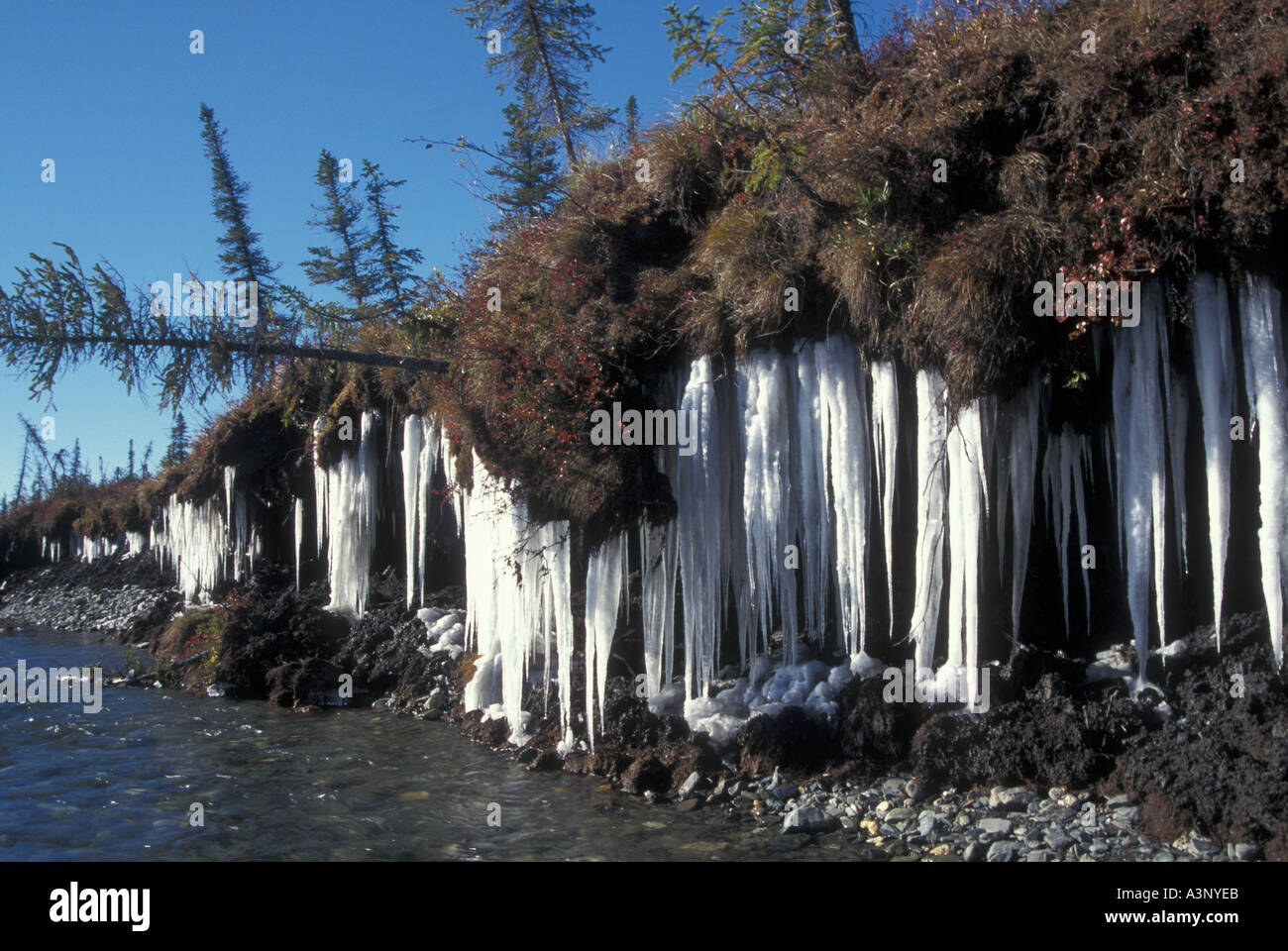 Les glaçons le long de la rive du pergélisol de la rivière John Gates of the Arctic National Park Alaska Banque D'Images