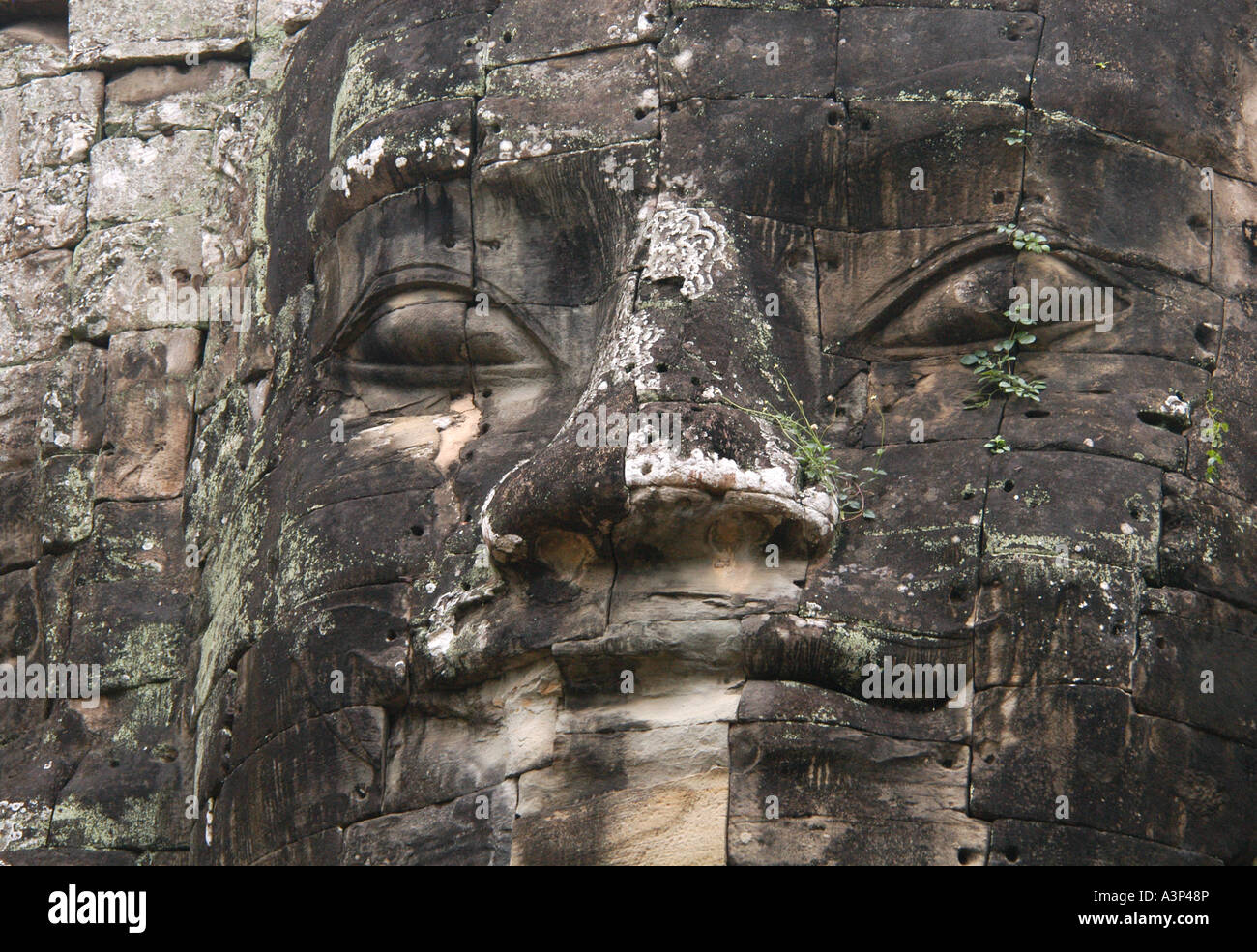 Pierre énorme visage de Bodhisattva Lokesvara à partir de la porte de la victoire d'Angkor Thom Temple près de Siem Reap, Cambodge Banque D'Images