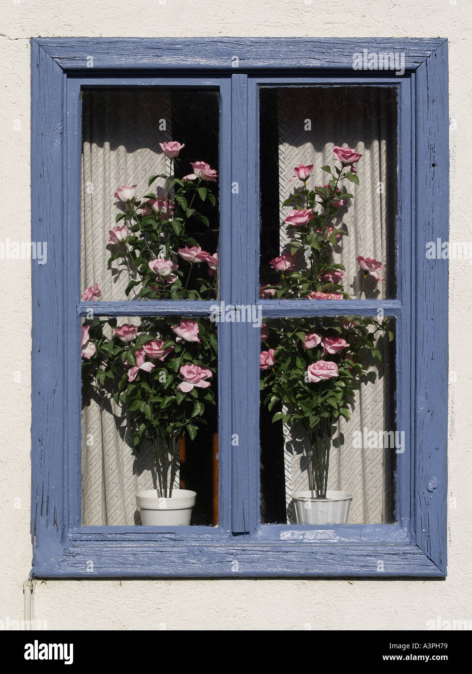 Fenêtre en bois bleu, fleurs en plastique Banque D'Images