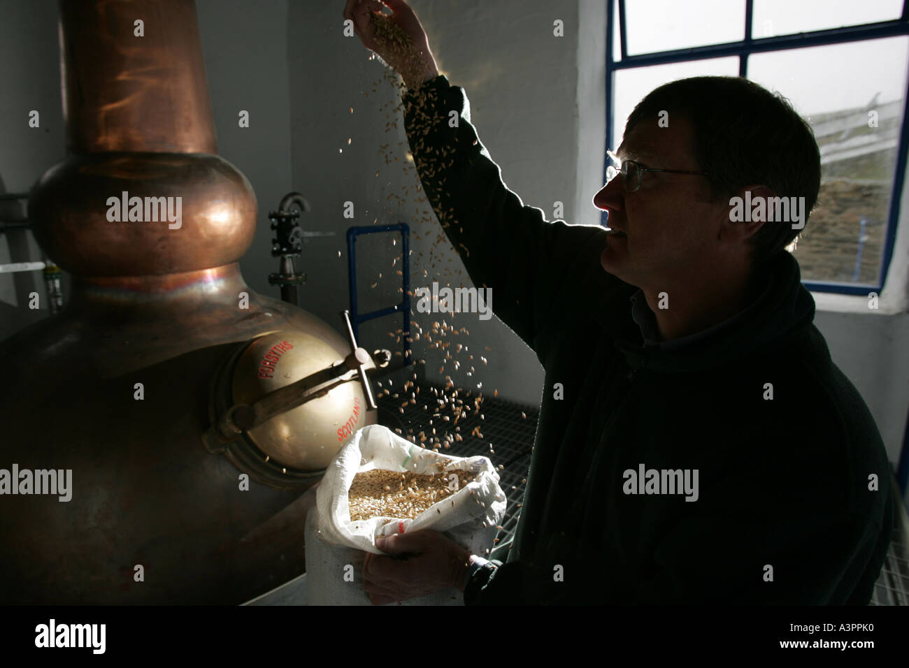 Anthony Wills se sent l'orge avant la production à partir de la Distillerie Kilchoman Banque D'Images