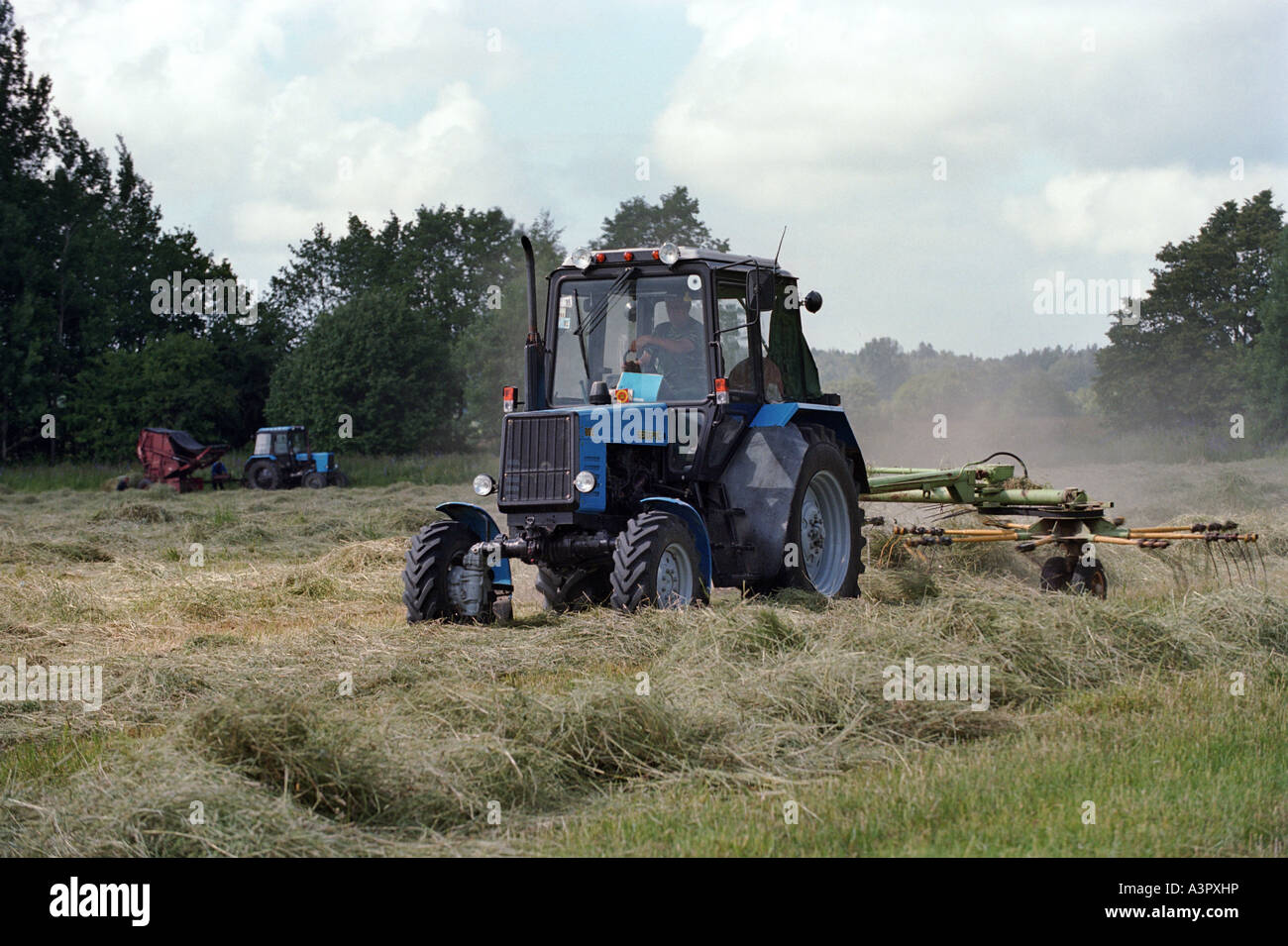 Fermier dans un tracteur avec faneuse jointe sur un champ, Doubrovka, Russie Banque D'Images