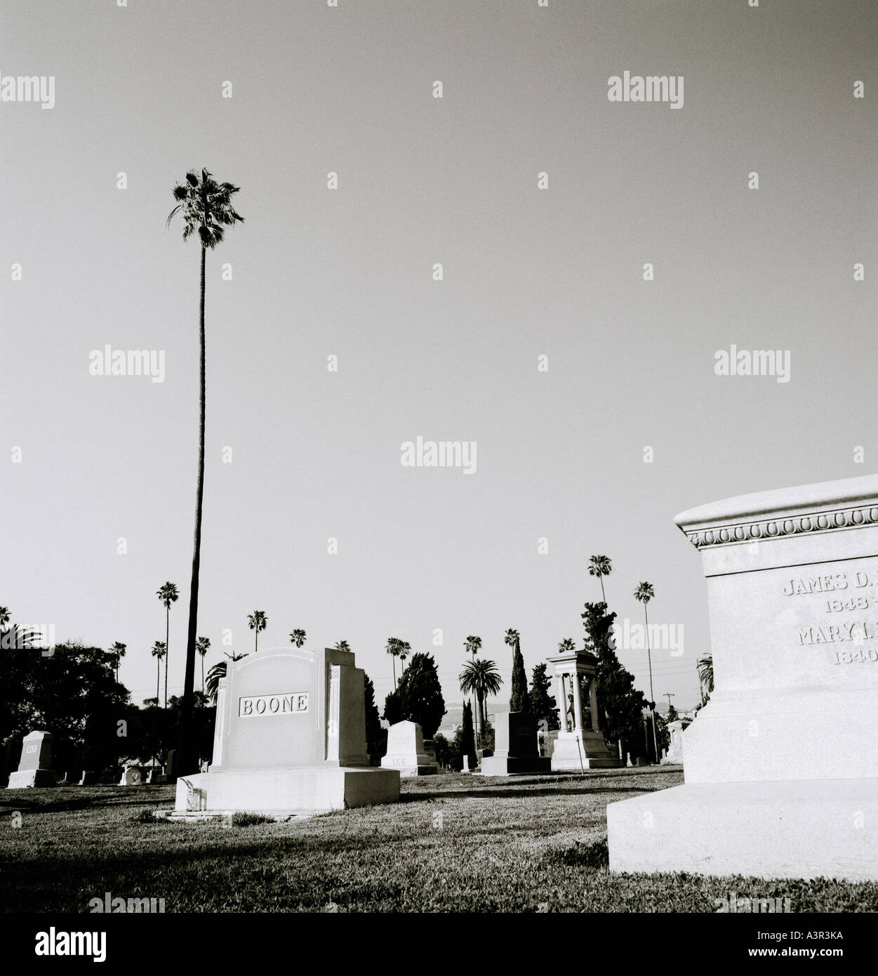 Hollywood Forever Cemetery à Los Angeles en Californie aux États-Unis d'Amérique. Culture Voyage USA Banque D'Images