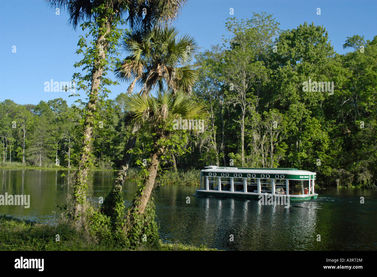 Bateau d'Excursion à Silver Spring en Floride Banque D'Images
