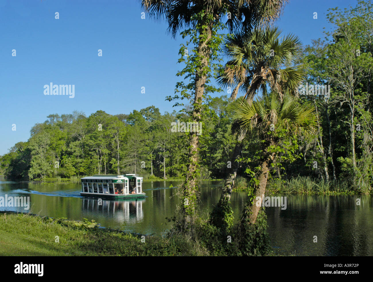 Bateau d'Excursion à Silver Spring en Floride Banque D'Images