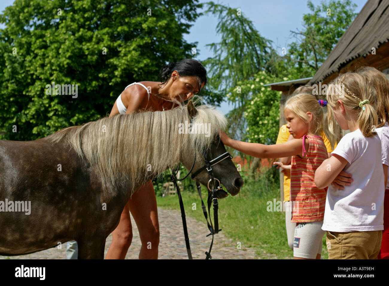 Poney Shetland (Equus caballus przewalskii f.), professeur d'équitation montrant un groupe de filles comment petit un cheval Banque D'Images