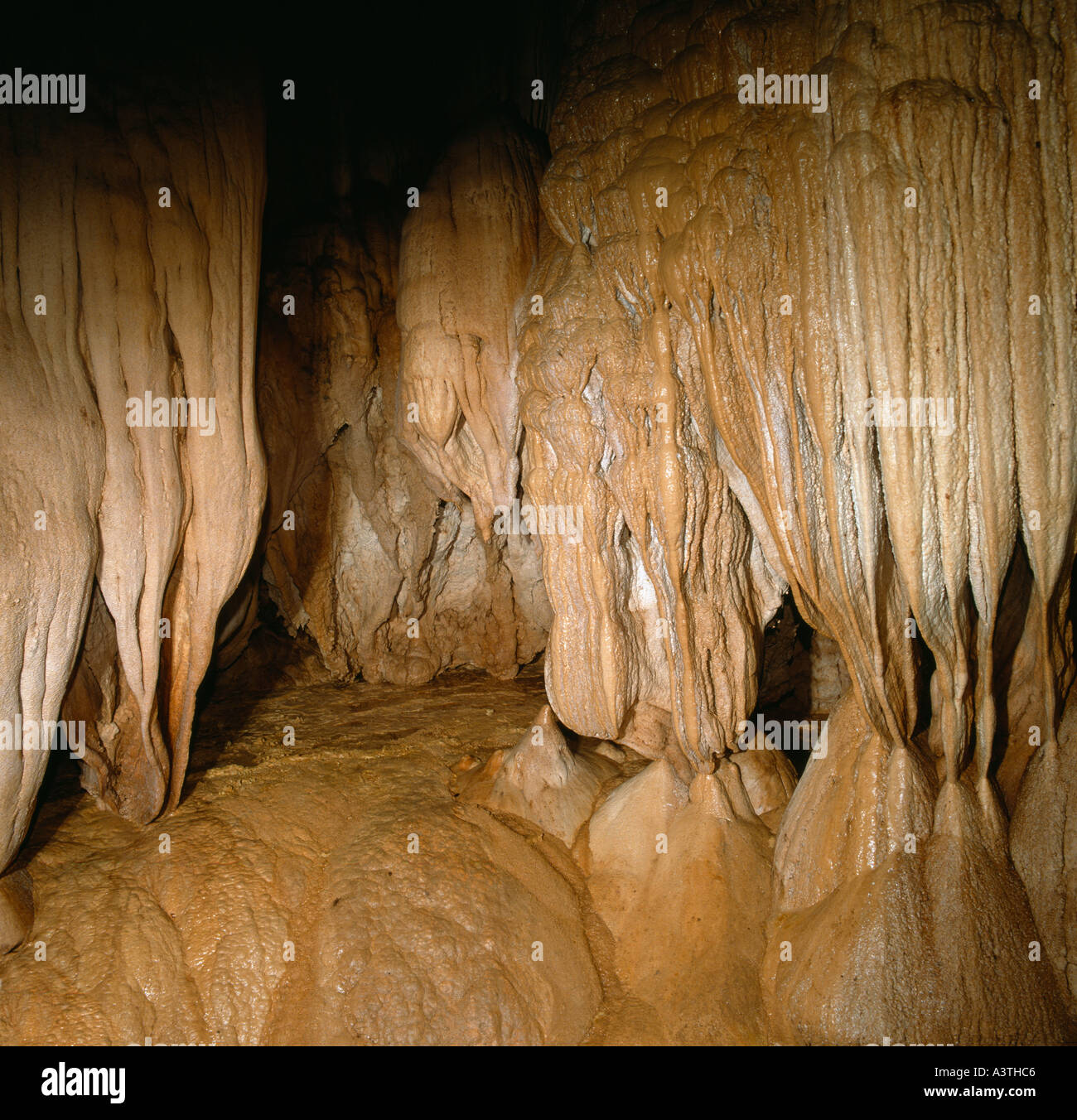 La Malaisie orientale Wind Cave formations calcaires de l'intérieur du Sarawak Mulu Banque D'Images