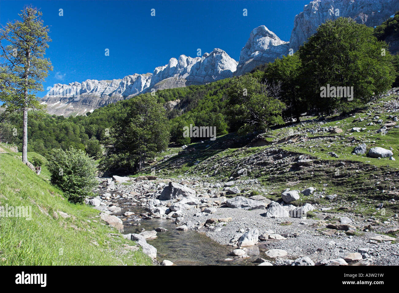 Vallée d’Hecho Banque D'Images