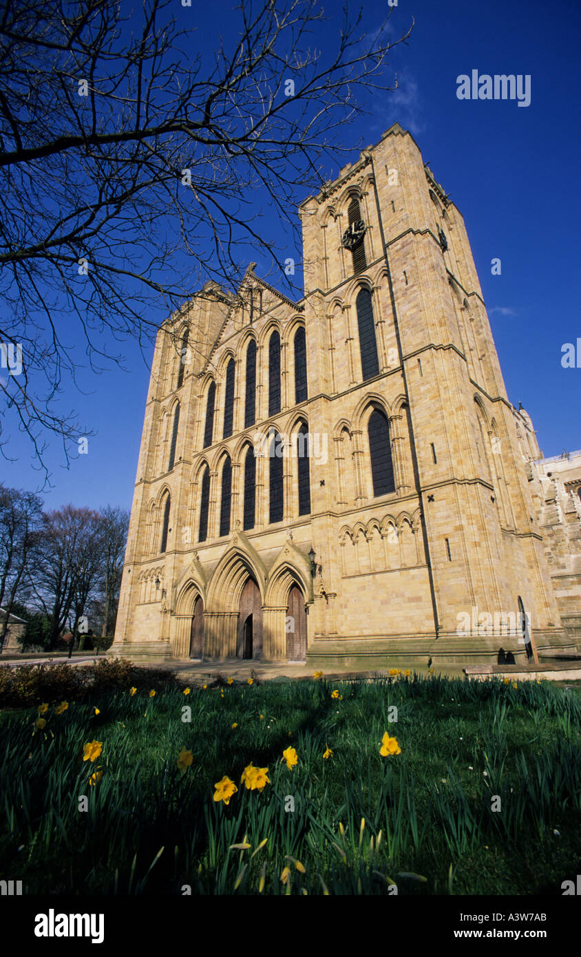 Ripon cathédrale fondée en 672 par saint wilfrid dont certaines parties existent encore ripon yorkshire uk Banque D'Images