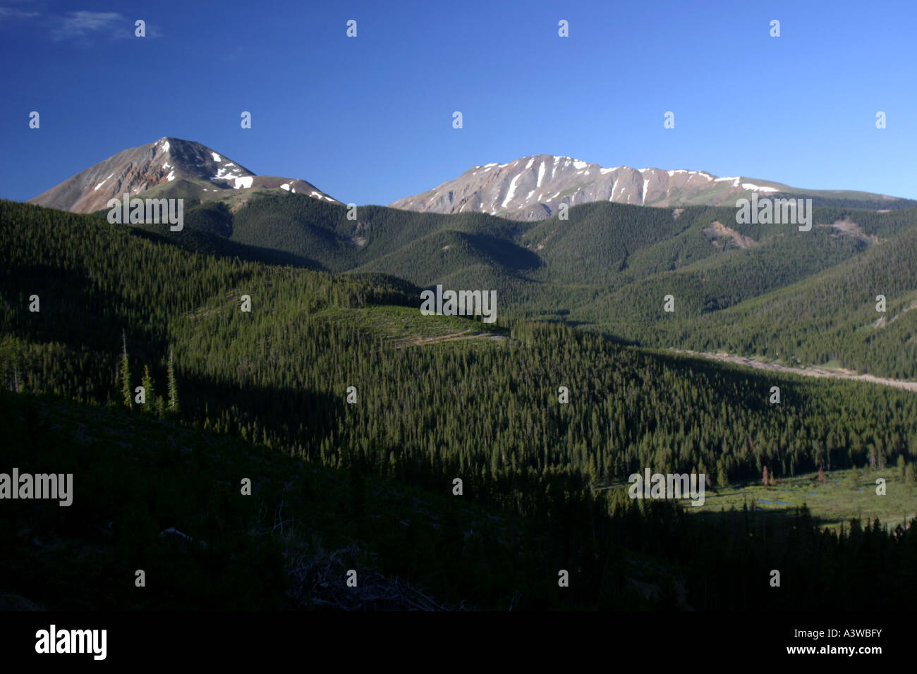 Une vue sur les montagnes Rocheuses, près de Breckenridge, du Colorado Trail, CO, USA. Banque D'Images