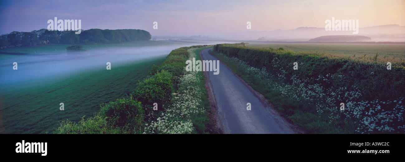 Country lane nr Charlton Horethorne UK Somerset à l'aube Banque D'Images