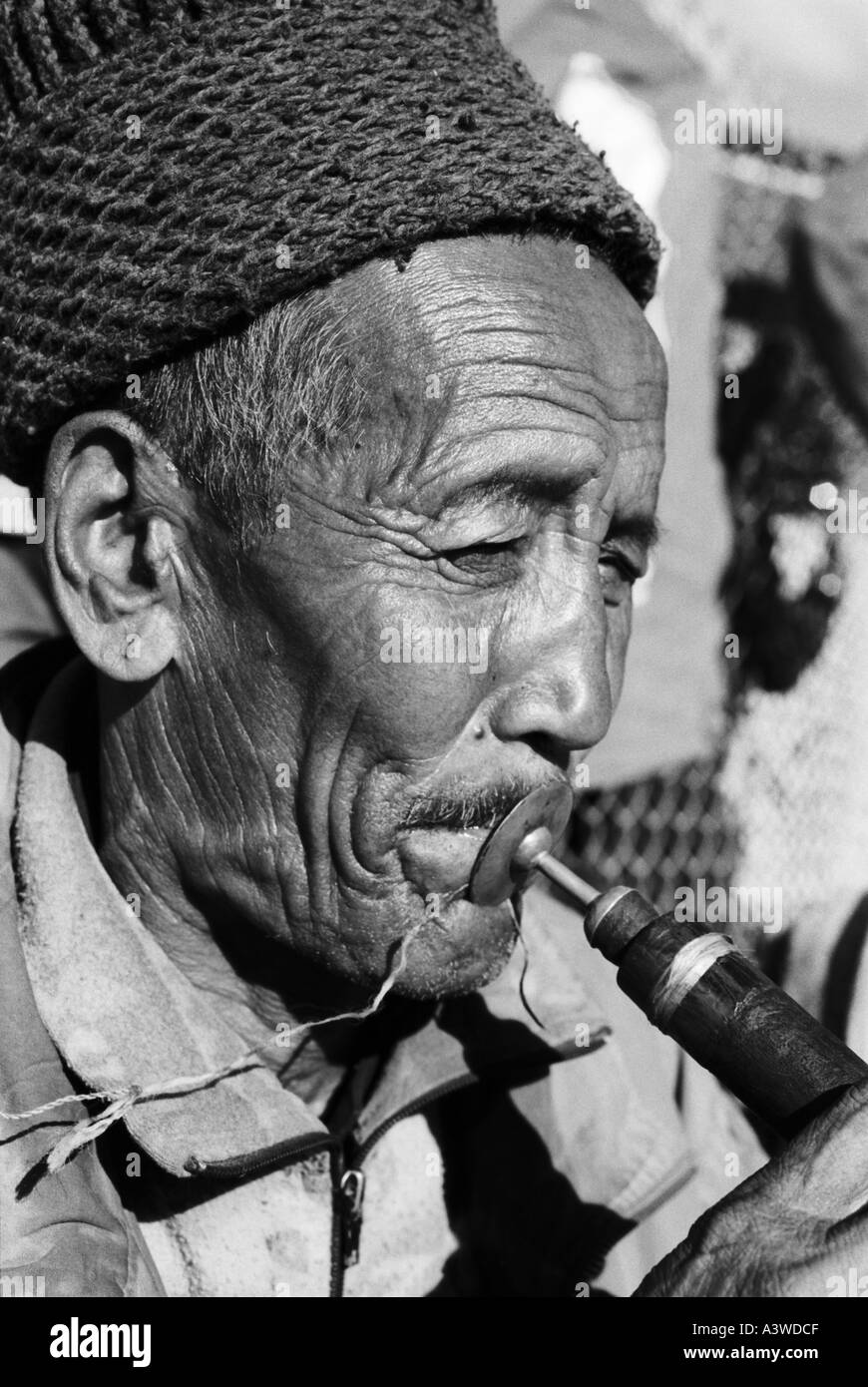 Homme ladakhis jouer instruments musique Festival du Ladakh Leh Jammu-et-Cachemire en Inde Banque D'Images